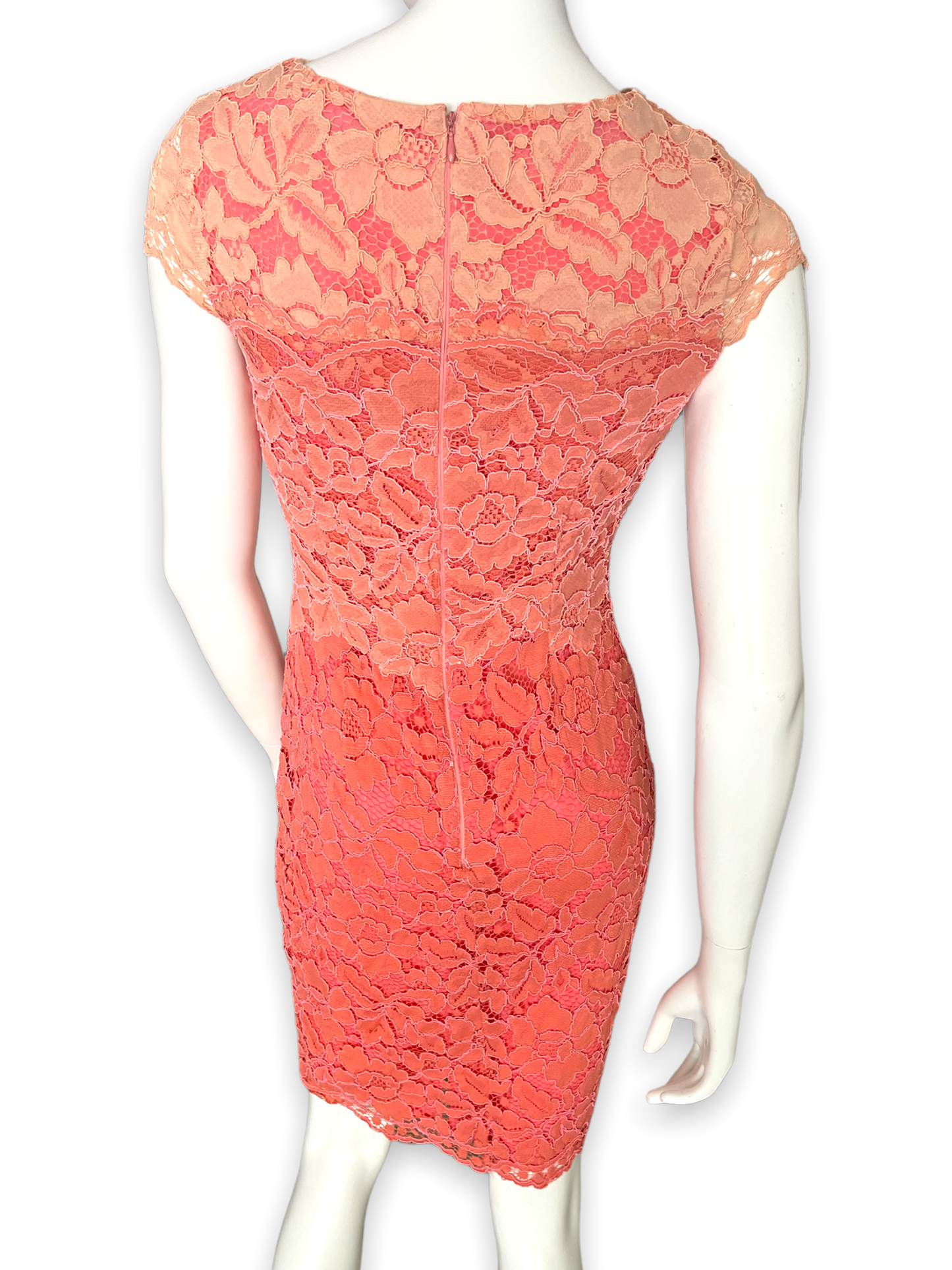 Antonio Melani, Peach Professional Dress, Size 2
