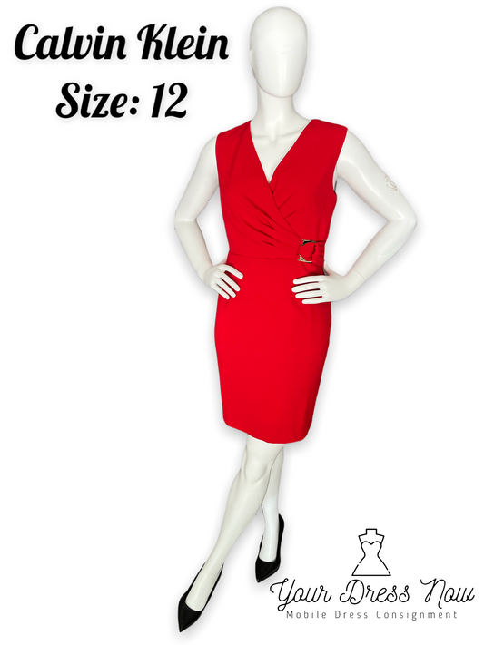 Calvin Klein, Red Professional Dress, Size 12