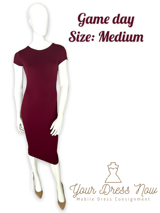 FSU Game Day Dress, Size Medium