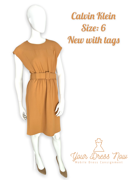 Calvin Klein Tan Professional Dress, New with Tags, Size 6