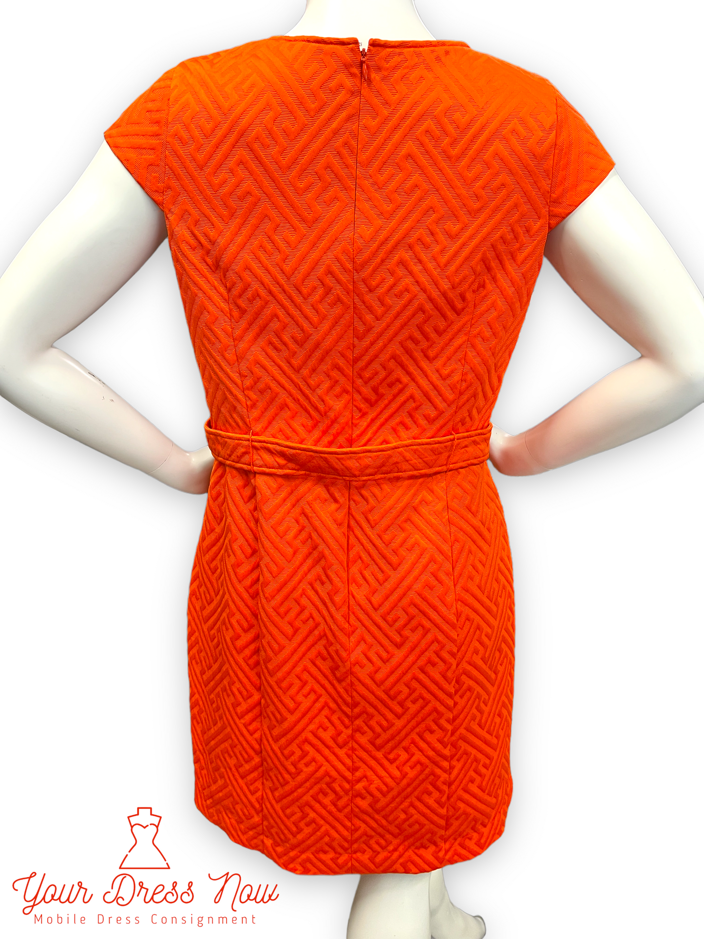 Fabulous and Orange, Liz Claiborne Dress, Size 14